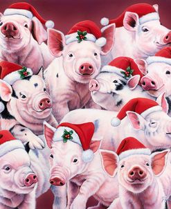 Christmas Piggies