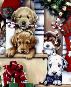 Christmas Puppies On The Loose