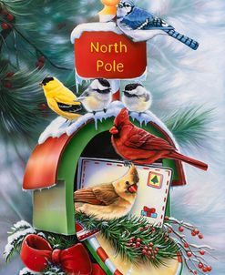 North Pole