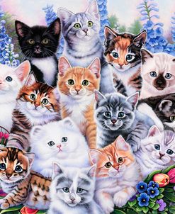 Kitten Collage