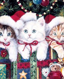 Meowy Christmas