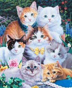 Kitten Collage