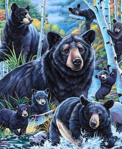 Bears in the Birches