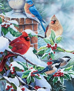 Songbirds and Holly