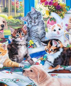 Kittens and Puzzles