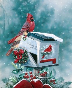 Christmas Cardinals