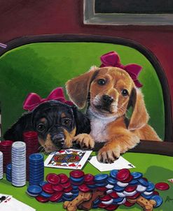 Poker Dogs 3