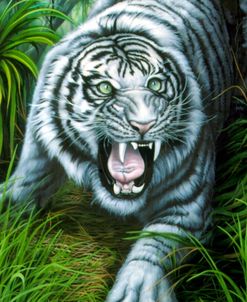 White Tiger