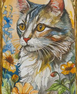 Grey Cat