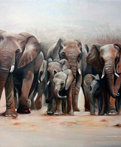Herd Of Elephants