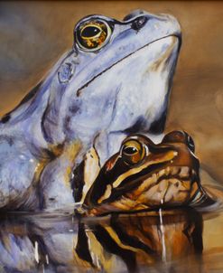 Frogs