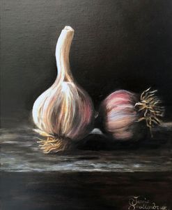 Still Life With Garlic
