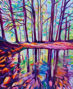 Reflections