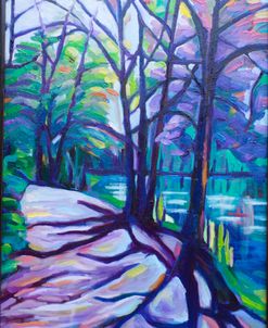 Woodland Walk