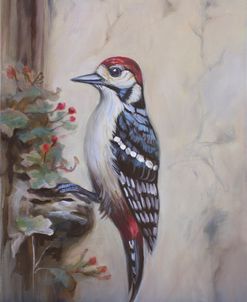DO04 Great Spotted Woodpecker