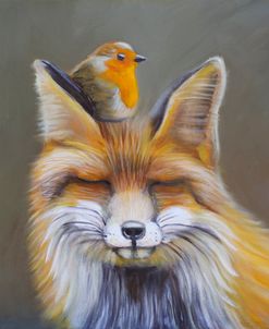 DOP08 Fox With European Robin