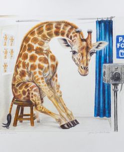Digital Exposure