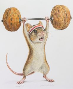 Going Nuts