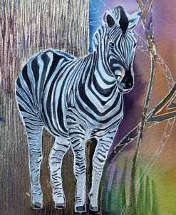 Oracle Zebra