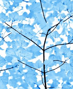 Blue Leaves 3