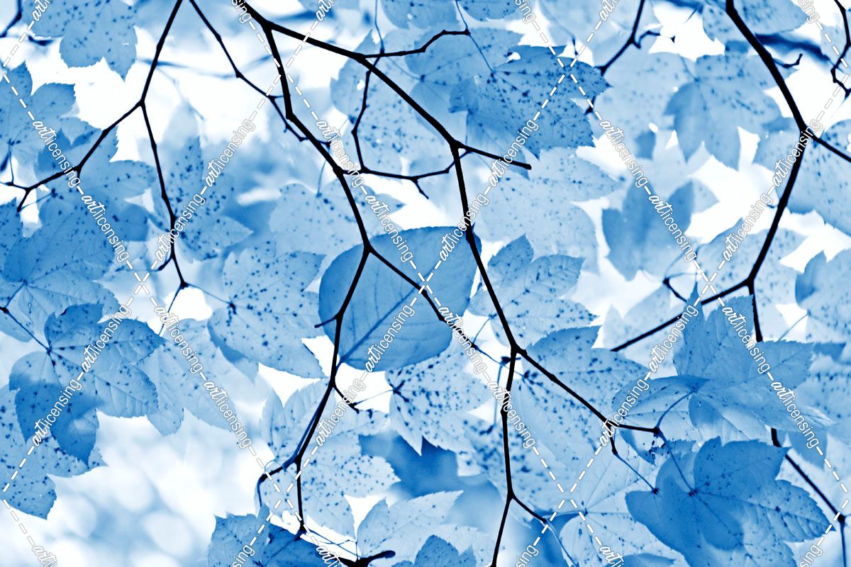 Blue Leaves 4
