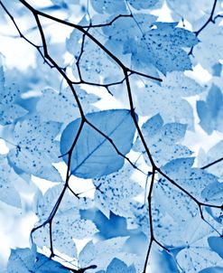 Blue Leaves 4