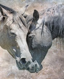 Horse Love Rustic