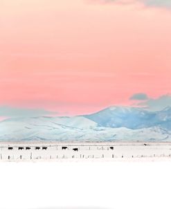 Montana Winter Sunset