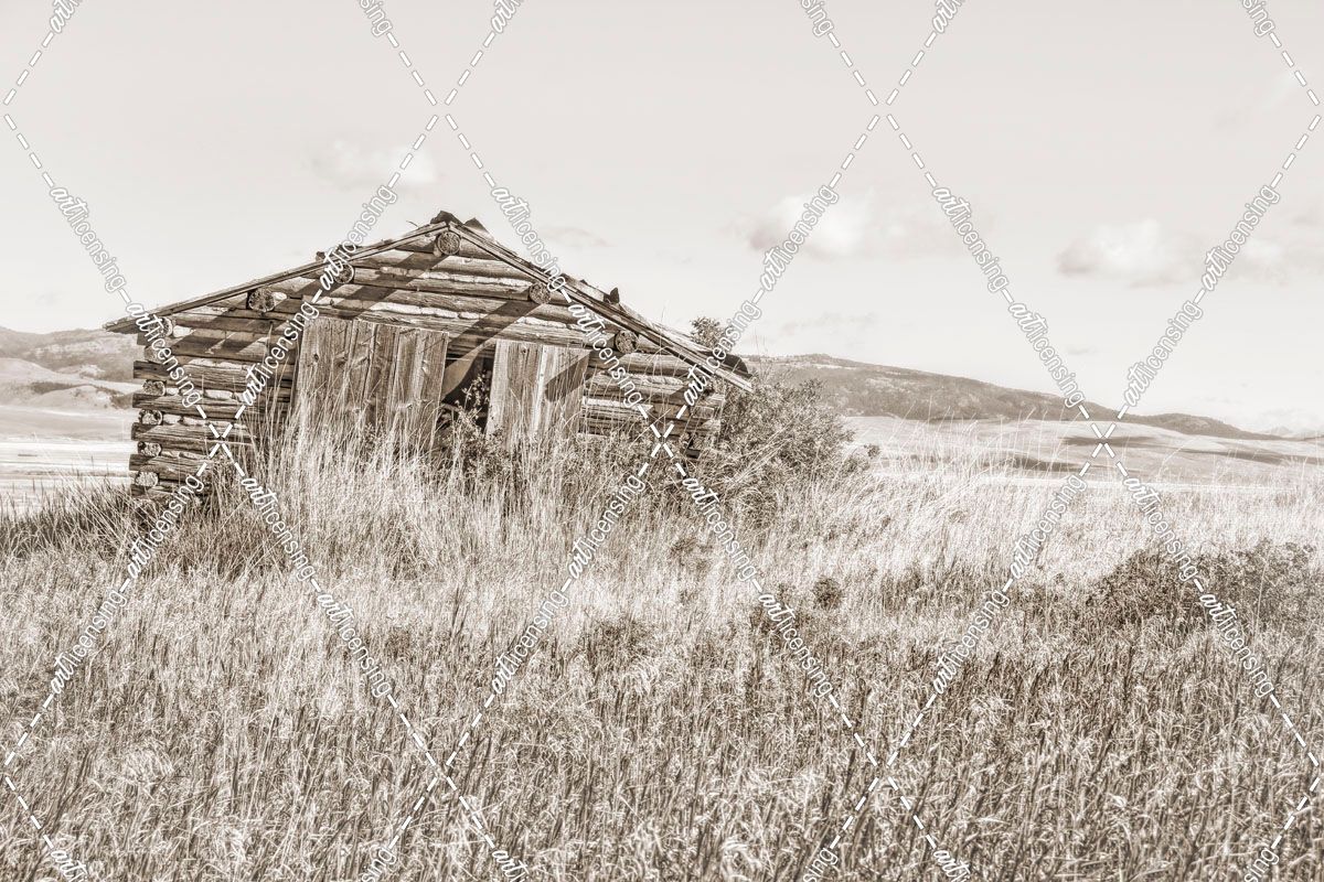 Old Log Cabin Sepia