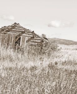 Old Log Cabin Sepia