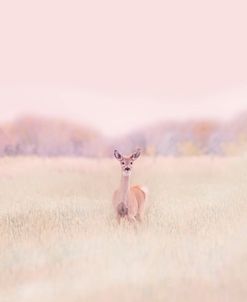 Deer In Pink Landscape