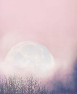 Pink Moon Rising