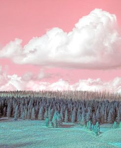 Pink Sky Teal Landscape