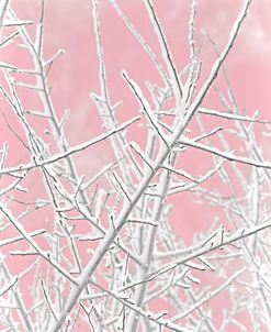 Winter Ice Branches Pink