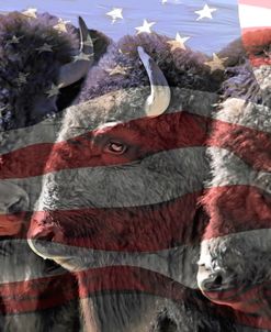 American Buffaloes USA Flag