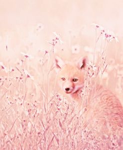 Pink Little Fox In Flowers