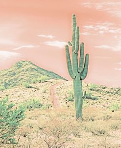 Desert Landscape Orange Sky