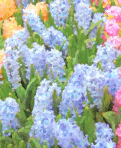 Spring Hyacinth Flowers Impressionist