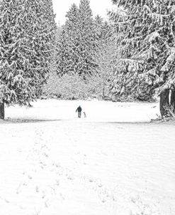 Man and Dog Winter’s Day