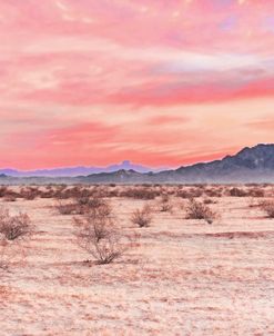 Pink Desert Sunrise