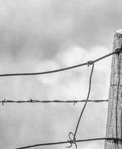 Fence Post Wire Black and white