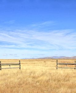 Fences Big Sky