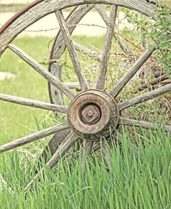 Wagon Wheel 1