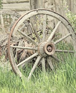 Wagon Wheel 2