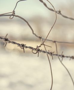 Barbed Wire