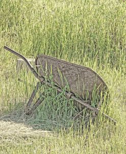 Wheelbarrow in Field