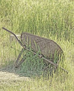 Wheelbarrow in Field