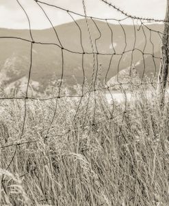 Rustic Wire Fence Brown