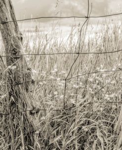 Rustic Brown Fence Post