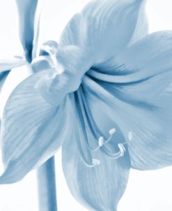 Blue White Abstract Flower